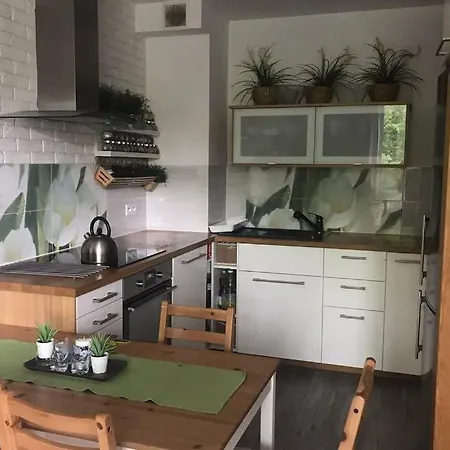 In Area Apartment Wroclaw